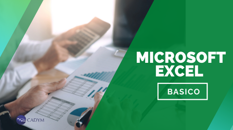 Microsoft Excel (Básico)