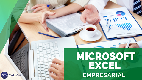Microsoft Excel Empresarial
